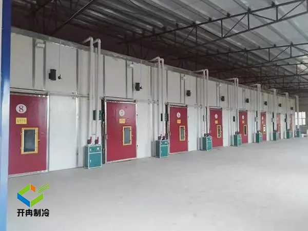 建造1000噸的水果冷庫(kù) 需要多大的冷庫(kù)場(chǎng)地 建造1000噸的水果冷庫(kù) 需要多大的冷庫(kù)場(chǎng)地