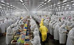 上海電商冷庫建造、運營