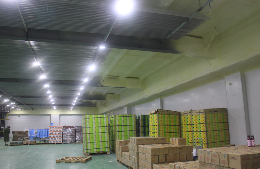 2000噸蘋果保鮮庫造價多少，0-5℃保鮮庫建造一平價格