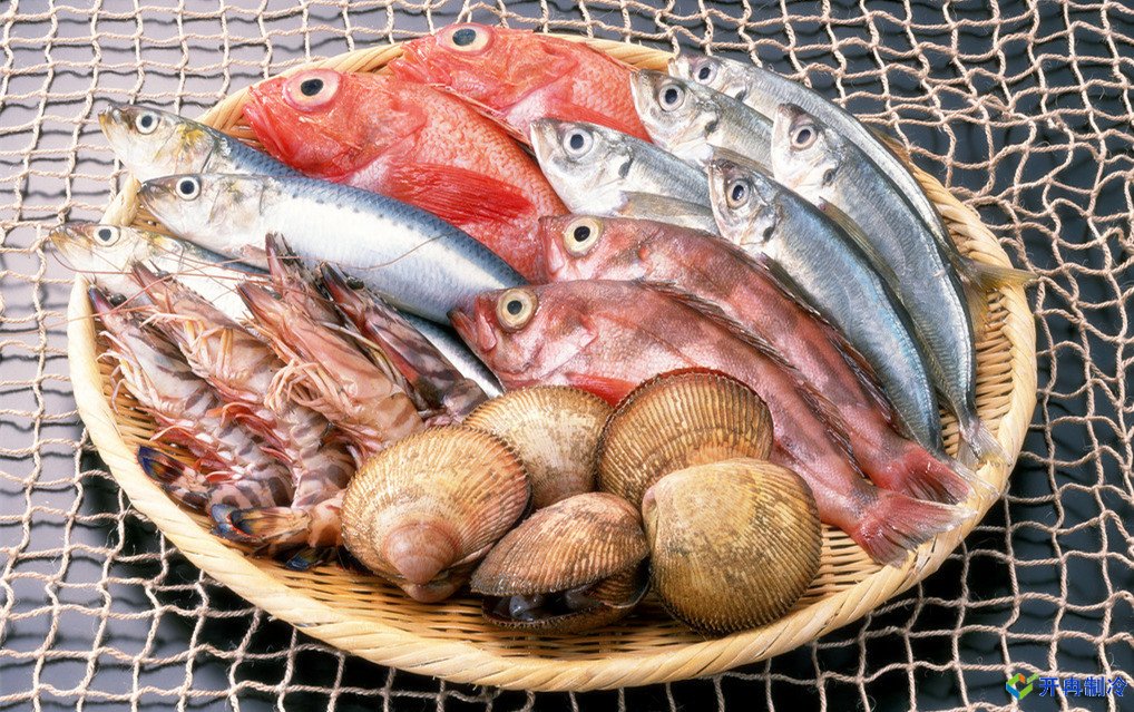 上海建造海鮮冷庫，冷庫報價表