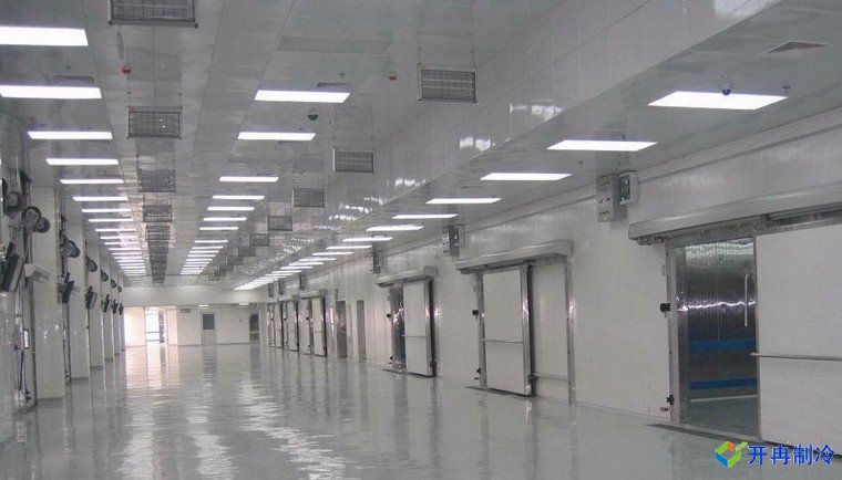 50000噸豬肉冷庫，冷庫總投資需要多少錢