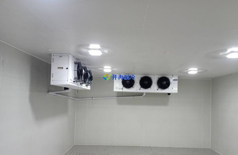 三甲醫院冷庫,體外診斷試劑冷庫